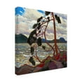 thumbnail image 4 of Tom Thomson 'The West Wind' Canvas Art, 4 of 4