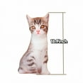 thumbnail image 3 of 3D Simulation Cat Shape Plush Pillow - Soft Cat Stuffed Animal Cushion- Sofa Chair Home Decor Pillow, 3 of 4