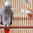 thumbnail image 4 of FUTUREORYY 1set Bird Feeder Kit Parrot For Liquid Milk Includes Feeders With Tubes Rings For Cockatiels Sick Birds, 4 of 8