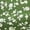 Emerald Green, variant on Women'S Sweet A Line Flared Mini Dress Loose Fit Slimming Casual Summer Chic Day Dress Black L