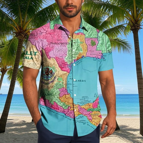 Zylanna Men's Hawaiian Shirts, Quickly Dry Turndown Collar Short Sleeve Casual Summer Beach Button Down Shirts Multicolor Size S