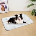thumbnail image 5 of AuroraX Ice Silk Cooling Mat for Dogs Cats Indoor Pressure Activated Vibrant Waterproof Non Gel Pet Cooling Mat for Cats Non-Electric Non-Toxic Cooling Pads for Dogs in Pets, 5 of 9