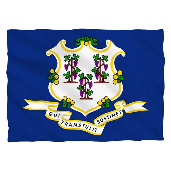 Connecticut Flag (Front Back Print) Pillow Case