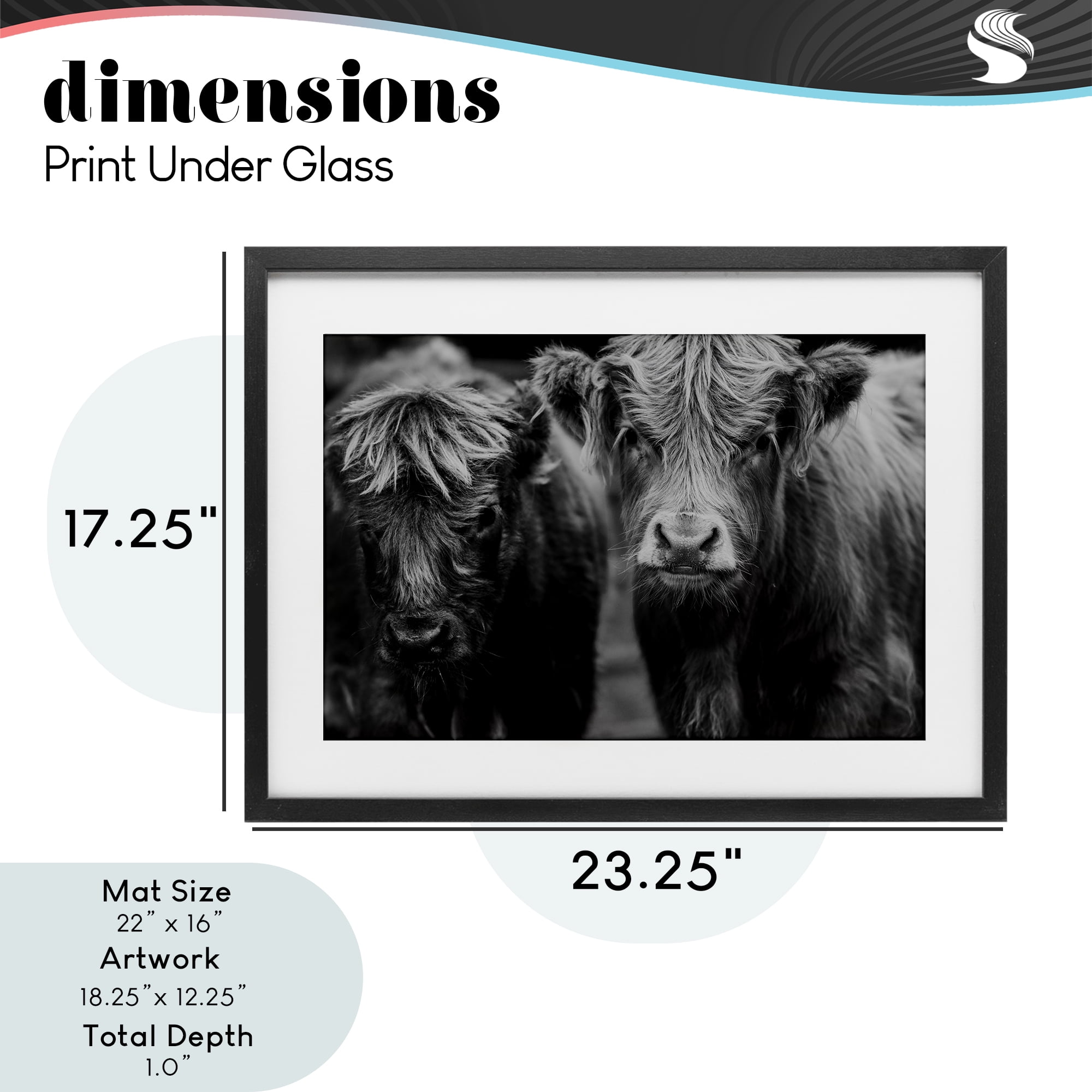 Cow Faces on Farm Black Framed Print Under Glass, design by Amy Carroll
