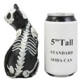thumbnail image 4 of Day Of The Dead Bone Skeleton Male Cat Statue Halloween 3D X-Ray Decor Figurine, 4 of 4