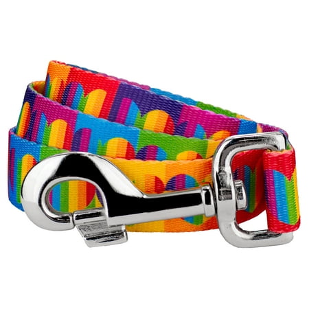 Heart Leash - Country Brook Petz | 1 Inch Rainbow Hearts Dog Leash - 2 Foot