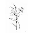 thumbnail image 3 of Paschke, Chris 13x18 Black Modern Framed Museum Art Print Titled - Line Daffodil, 3 of 5