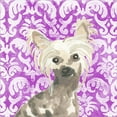 thumbnail image 2 of Great Art Now Parlor Pooches IX by June Erica Vess, Framed Wall Art, 14W x 14H, 2 of 3