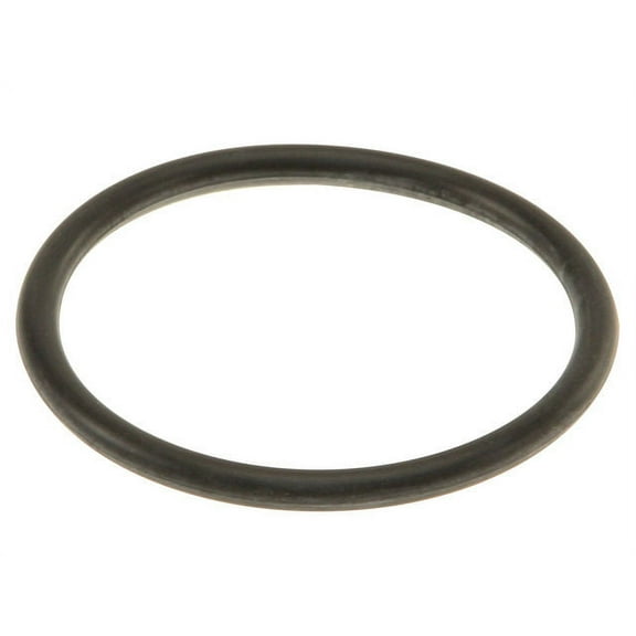 Fuel Screen O-Ring - Compatible with 1972 - 1989 Porsche 911 1973 1974 1975 1976 1977 1978 1979 1980 1981 1982 1983 1984 1985 1986 1987 1988