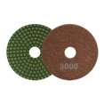 thumbnail image 1 of Pad De Diamante Para Pulido Grano 3000 Austromex Aus-2766 Austromex Aus-2766, 1 of 4