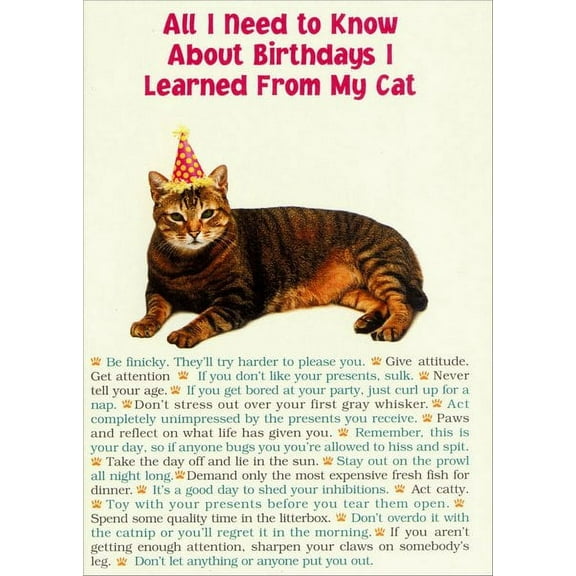 Portal Publications All I Need From Cat Funny / Humorous Birthday Card