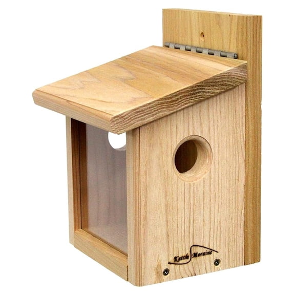 Cedar Post Mount Bluebird Mealworm Feeder