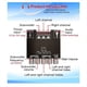 thumbnail image 5 of Placa Amplificadora de Subwoofer -MT21 de 2.1 Canales con Bluetooth 5.0, Potencia de 50 W X 2 + 100 W, Placa Amplificadora de Audio Estéreo., 5 of 5