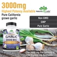 thumbnail image 3 of Capsulas De Ajo Puro Sin Olor, 3000 Mg Por Porcion NaturaLife Labs 1, 3 of 3
