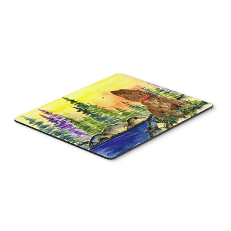 American Water Spaniel Mouse Pad / Hot Pad / Trivet