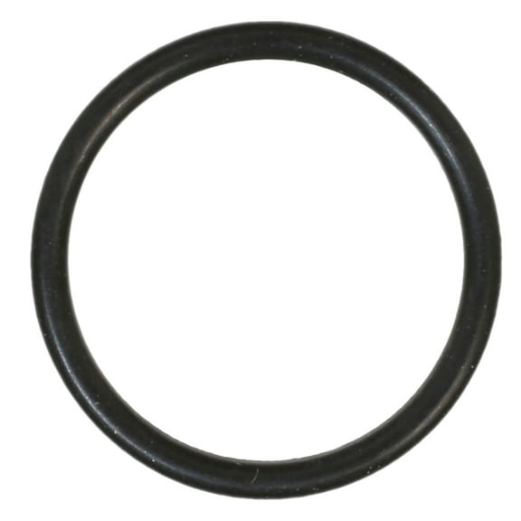FEL-PRO 35963 Thermostat Gasket