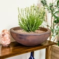 thumbnail image 2 of Sunnydaze Weather-Resistant Polyresin Double-Walled Percival Outdoor Flower Pot Planter - 20.75" - Rust - 2pk, 2 of 10