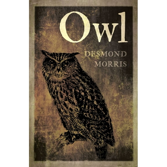 Owl, (Paperback)