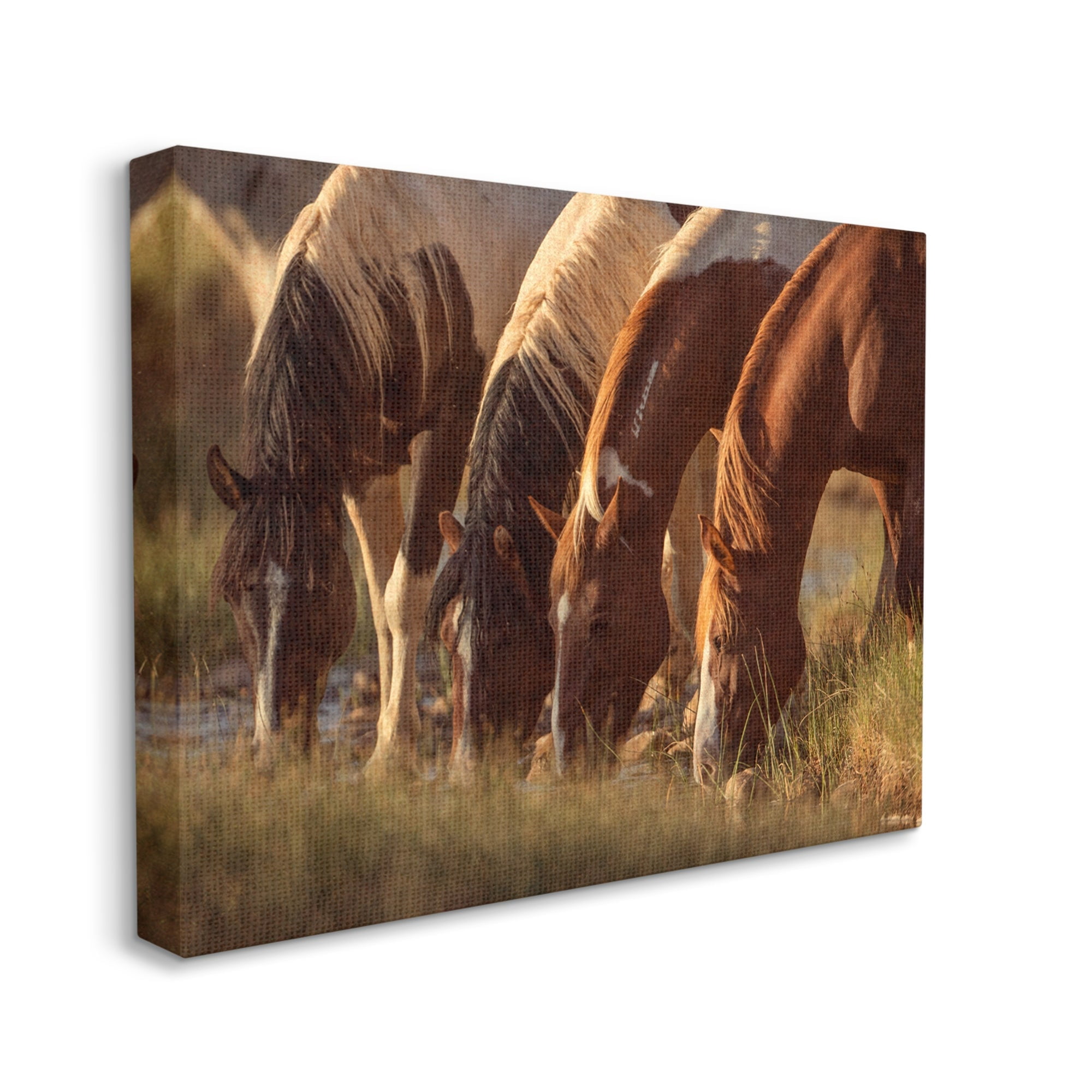 Stupell Industries Sunlit Horses Drinking Water Wildlife Nature Scene Photograph Gallery Wrapped Canvas Print Wall Art, Design by Jan Walters