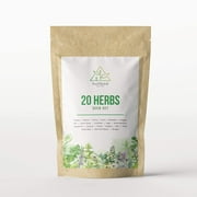 SoilSeed 20 Herb Seed Set - Popular Canadian Varieties. Heirloom and Non-GMO Seeds for Herb Gardens, Windowsills, Patio
