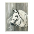 thumbnail image 1 of Stupell Industries White Horse Riding Bridle Contemporary Equestrian Portrait Paintings Unframed Art Print Wall Art, 10x15, by Sally Swatland, 1 of 6