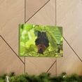 thumbnail image 6 of Majestic Vampire Bat Art Majestic Vampire Bat Print Animal Wall Art Wildlife Canvas Prints Wall Art Ready to Hang Unframed, 6 of 18