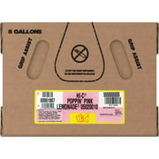 Hi-C Pink Lemonade Bag in box, 5 Gallons