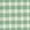 Green Chicory, variant on Van Heusen - Women's Gingham Check Shirt - 13V0226