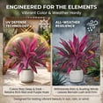 thumbnail image 4 of Artificial Tropical Plant UV Resistant Large Faux Plants Outdoor Fake Boston Ferns Potted Plants Realistic Agave Plastic Hostas Greenery Patio Outside Shrubs Flower Grass Front Porch Decor(4PC), 4 of 9