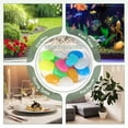 thumbnail image 7 of Large Glow in the Dark Stones, Luminous Pebbles Stones Glowing Rocks for Fish Tank Outdoor Garden, 20 Pcs & White, 7 of 7