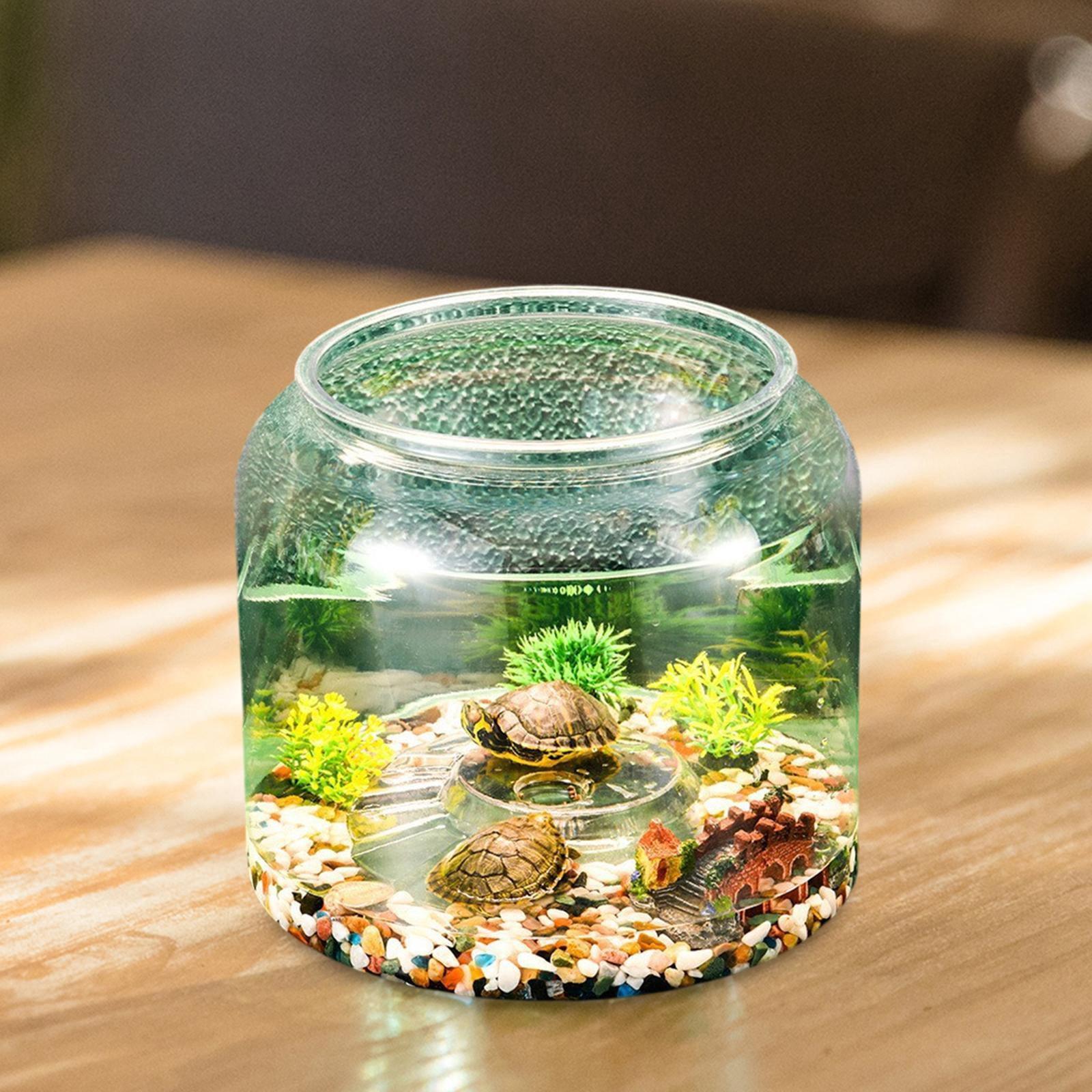 balikha Turtle Container Desk Versatile Step Terrarium for Dorm Farmhouse Restaurant XL without lid