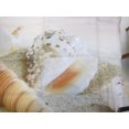 thumbnail image 3 of JOOCAR Imperméable Tissu Polyester Plage Douche Rideau Scène de l'Océan Rideau de Douche, Conque Coquillage Starfish Rideau de Douche, Ciel Bleu Océan Tropical Rideau de Douche pour la Décoration de Salle de Bains, 72X72 Pouces, 3 of 6