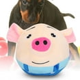 thumbnail image 3 of USB Pet Bouncing Ball, Pet Toy Ball, Cartoon Washable For Dog Cat Bouncing Pig In Blue Clothes, 3 of 8