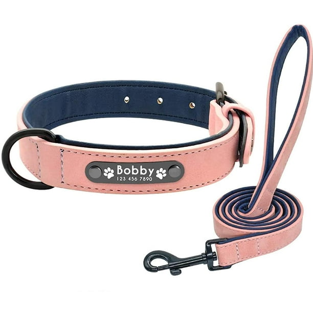Dog collars leather with nameplate top