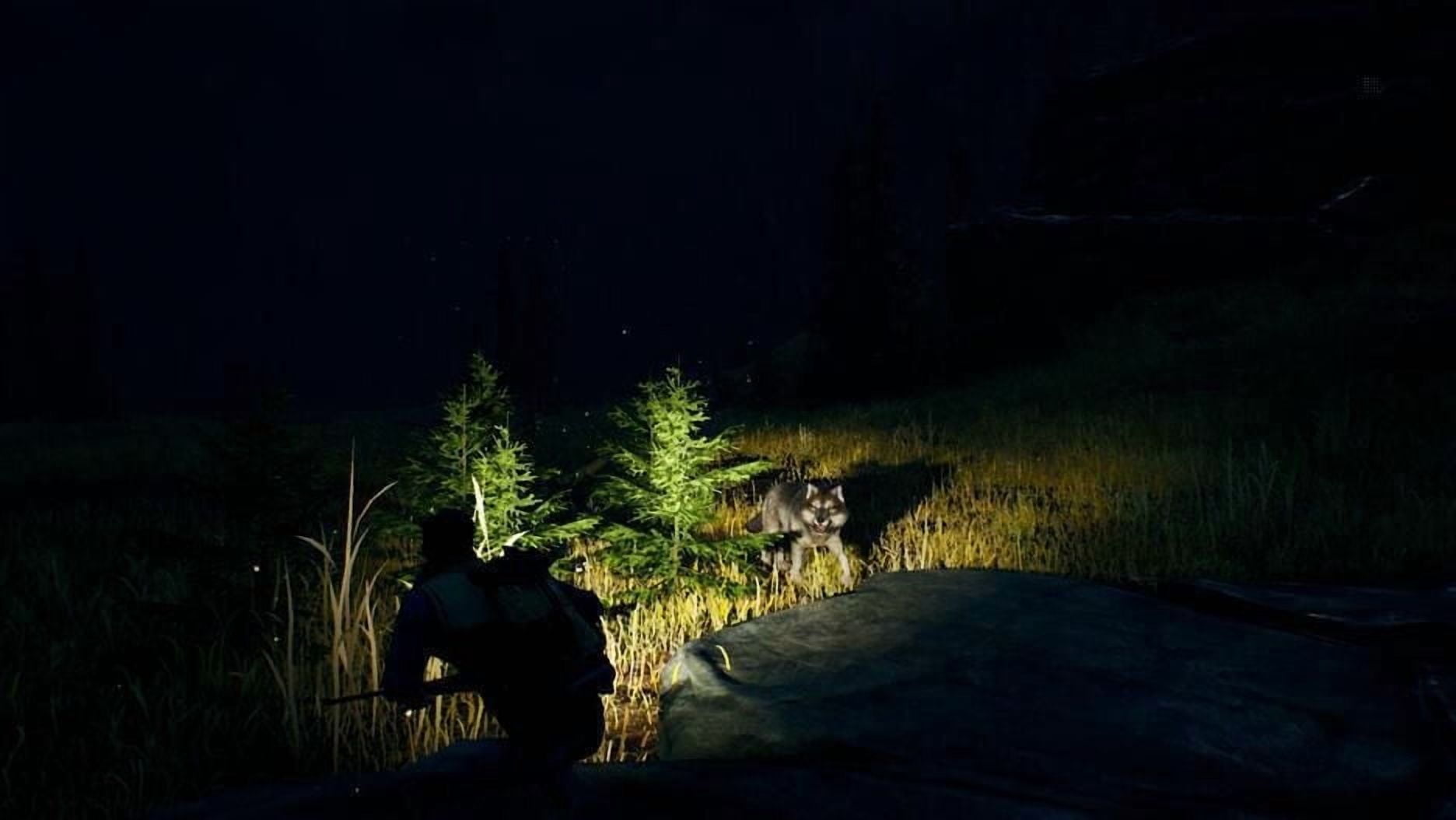 Jeu video Open Country pour (PlayStation 4) PlayStation 4