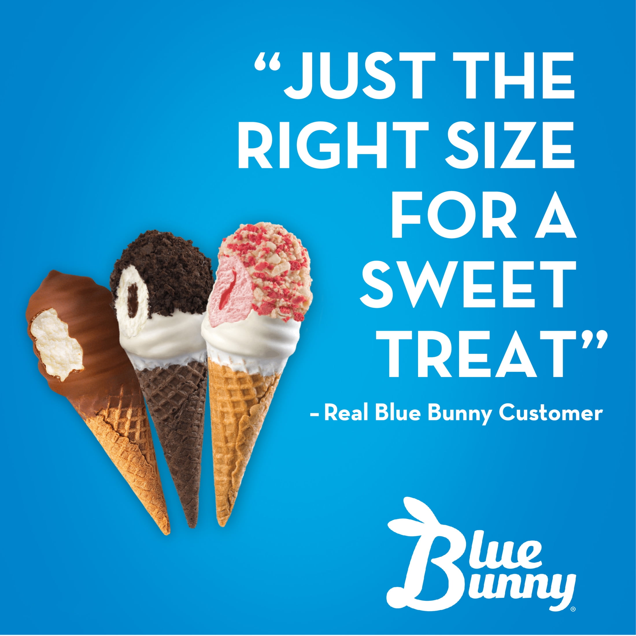 Blue Bunny Mini Swirls Nutty Fudge Sundae Cones Frozen Dessert, 8 Pack