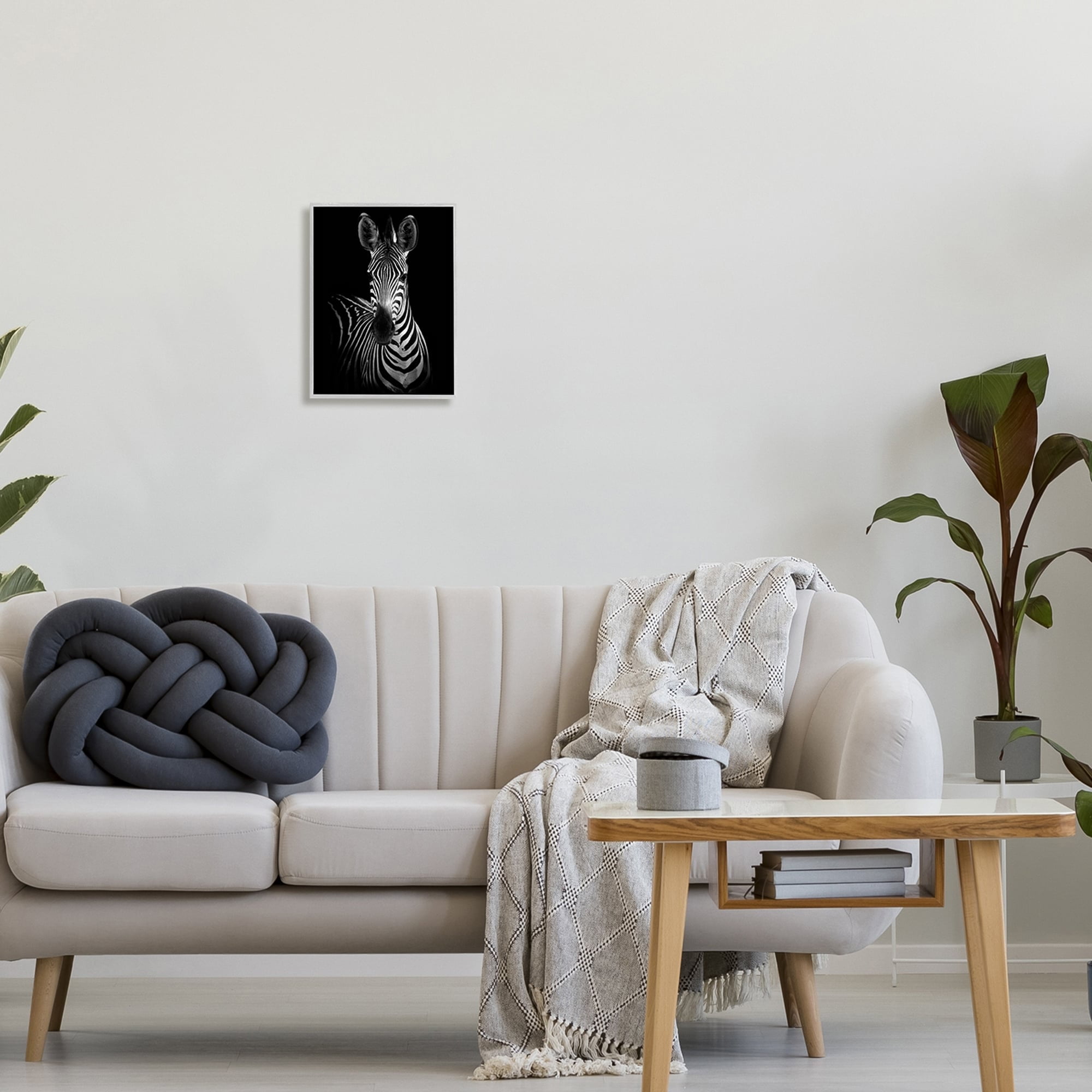Stupell Industries Striking Greyscale Monochrome Zebra Photography Portrait , 11 x 14, Design by Incado