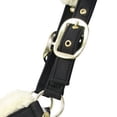 thumbnail image 4 of Supreme Products Royal Occasion Horse Halter, 4 of 4