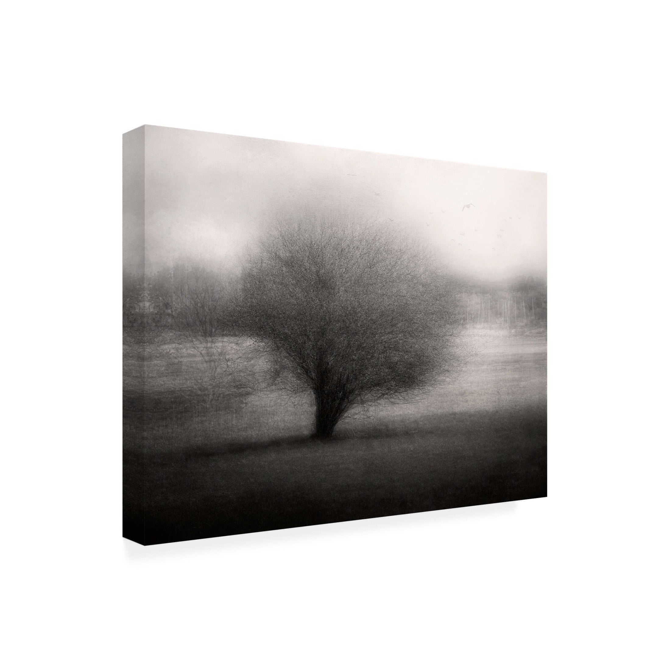 Canvas Wall Art - Delphine Devos 'On The Meadow' Wall Art for Living Room, Bedroom, or Office Décor by Trademark Fine Art - 24 x 18 Inches