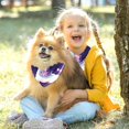 thumbnail image 5 of Unicorn Breathable Chiffon Yarn Dog Accessories Collars (Pack of Two) - Translucent Light Material, 40.6x40.6x58/16x16x22.8in, 53.3x53.3x76.2/20.9x20.9x30 in, 5 of 5