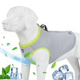 thumbnail image 2 of JUXZH Gilet Rafraîchissant pour Chien avec Fermeture Éclair Réglable pour Chasse en Plein Air et Camping Vert TP (Lot de 1), 2 of 4