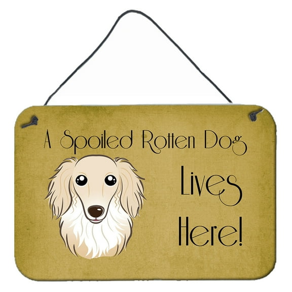 Caroline's Treasures BB1460DS812 Longhair Creme Dachshund Spoiled Dog Lives Here Wall or Door Hanging Prints , 8x12,