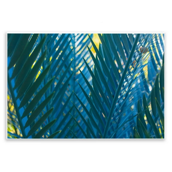 Stupell Industries Blue Palm Fronds Plants & Flowers Photography Unframed Art Print Wall Art, 15 x 10