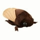 thumbnail image 5 of Peluche de cigarra, muñeco de dibujos animados, cojín de peluche suave y adorable, regalo de cumpleaños cómodo Marrón, 5 of 9