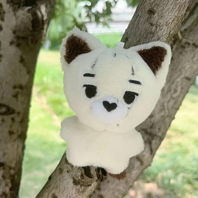 Enhypen Kpop Llavero de felpa con personaje de dibujos animados, 10 cm, lindo HEESEUNG JAY JAKE SUNGHOON SUNOO JUNGWON NI-KI, regalo de lujo ENGENE para fanáticos
