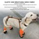 thumbnail image 3 of Botas Con Tirantes Para Perros, Botas De Lluvia Para Perros, Cierre Táctil Ajustable, Zapatos Para , Polainas, Zapatos Para Mascotas, Para , Protector De Patas, 3 of 7