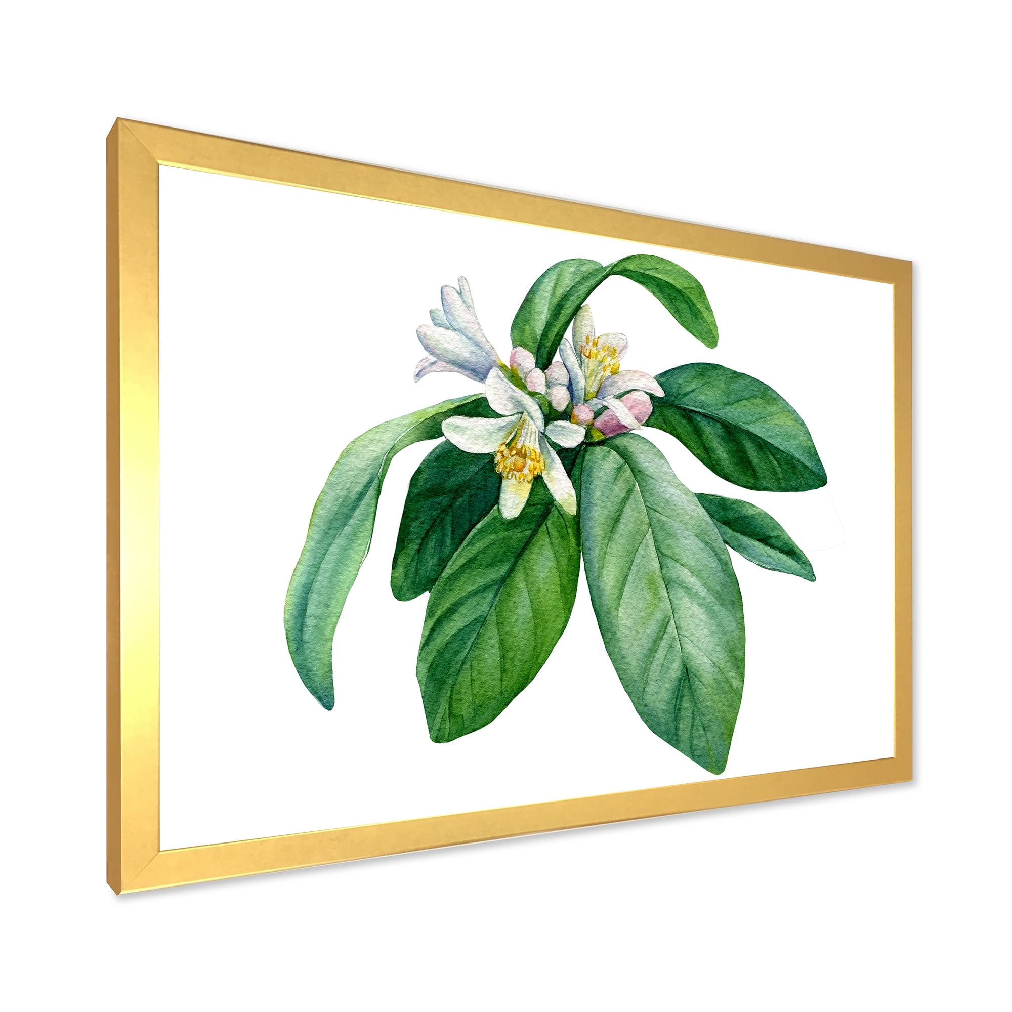 Flowering Mandarin With Branch 32 in x 16 in Framed Painting Canvas Art Print, by Designart