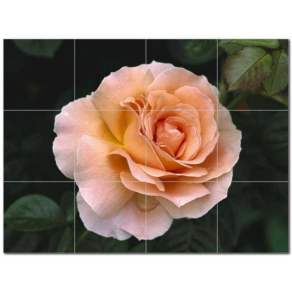 Flower Picture Ceramic Tile Mural Kitchen Backsplash Bathroom Shower 404990-S43