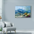 thumbnail image 3 of Trademark Fine Art 'Desert Serenade' Canvas Art by Carolyne Hawley, 3 of 4