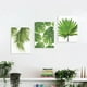 thumbnail image 5 of Póster decorativo de hojas de palmera tropical verde, impreso en lienzo. Hoja de palma l, 5 of 9
